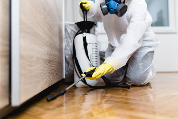 Best Local Pest Control Services  in Sherman, TX