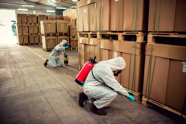 Best Best Pest Control Companies  in Sherman, TX