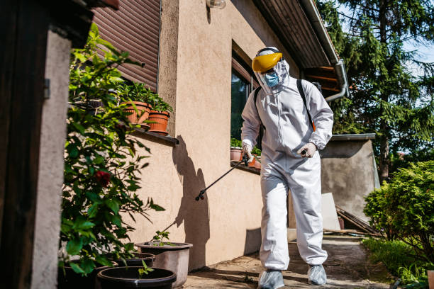 Best Wasp Removal Services  in Sherman, TX