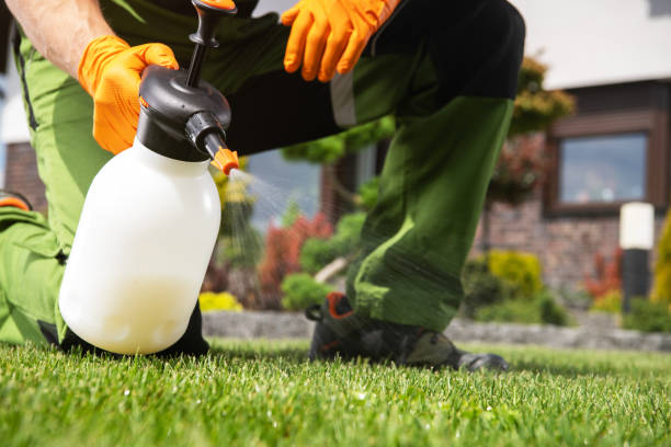 Best Pest Control Treatment  in Sherman, TX