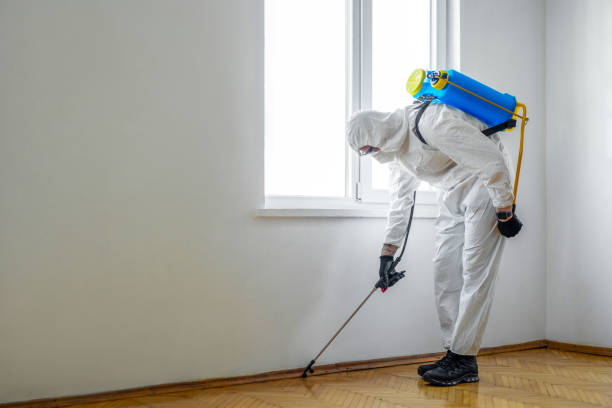 Pest Prevention Services in Sherman, TX