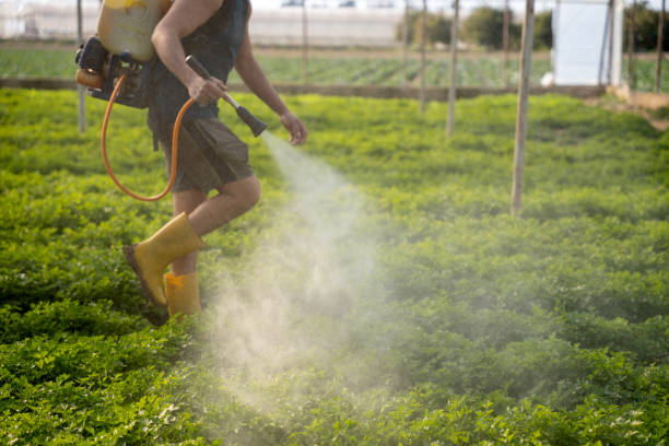 Best Affordable Pest Control Services  in Sherman, TX