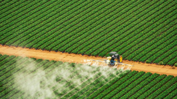 Best Best Pest Control Companies  in Sherman, TX