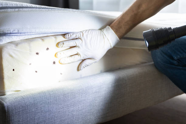 Best Pest Removal Services  in Sherman, TX