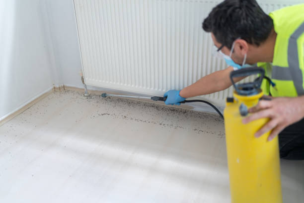 Best Mosquito Control Services  in Sherman, TX